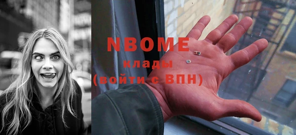 стаф Алексин