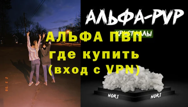 стаф Алексин