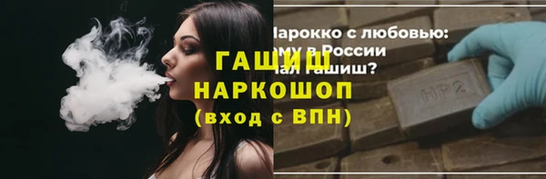 стаф Алексин