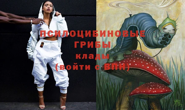 стаф Алексин