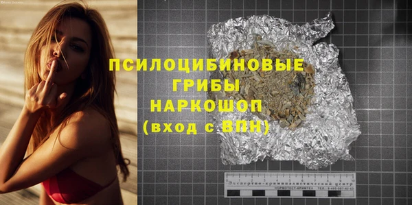 стаф Алексин