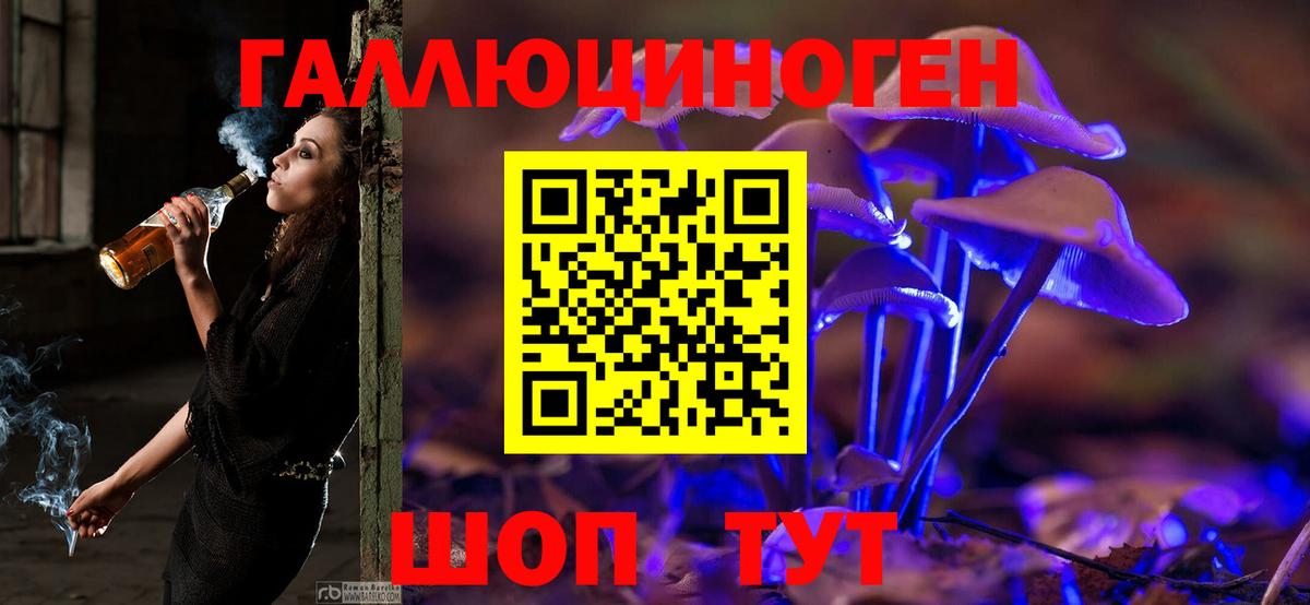 Галлюциногенные грибы GOLDEN TEACHER  купить   Миасс  Псилоцибиновые грибы мицелий  Вход с VPN 