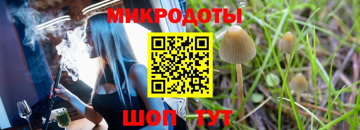 Псилоцибиновые грибы Psilocybe Миасс